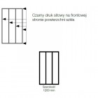 Sanswiss Easy ścianka wolnostojąca WALK IN 120 cm czarna Loft Industrie