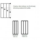 Sanswiss Easy kabina prostokatna WALK IN 100x80 cm czarna Loft Industrie