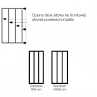 Sanswiss Easy kabina prostokatna WALK IN 100x90 cm czarna Loft Industrie