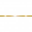 Egen Listwa dekoracyjna stalowa 1x244 cm gold