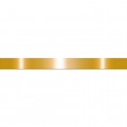 Egen Listwa dekoracyjna stalowa 3x244 cm gold