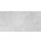 Egen Chicago Light Grey płytka ścienna 30x60 cm