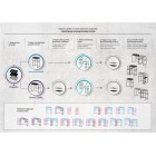 Deante Correo słupek do konsoli 40x30 cm czarny CKC N30A