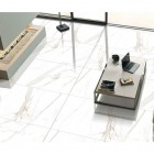 Egen Regal Carrara płytka podłogowa 60x60 cm