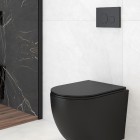 Oltens Lule przycisk spłukujący do WC czarny mat 57104300