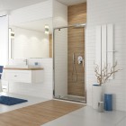 Sanplast TX DJ/TX5b-90 drzwi prysznicowe 90 cm srebrny błyszczący/szkło przezroczyste 600-271-1050-38-401