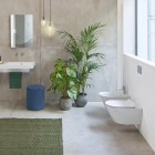 Catalano Zero muszla wisząca bezrantowa 55 cm 1VS55NR00