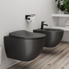 Deante Peonia miska WC wisząca bezkołnierzowa z deską wolnoopadającą antracyt/titanium CDEDDZPW