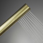 Deante Silia zestaw natryskowy z deszczownicą złoty szczotkowany NQS_R4XM