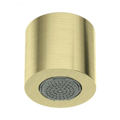 Deante Silia deszczownica 4,2 cm okrągła złoto szczotkowane NQS_R30K