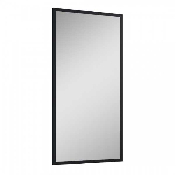 Elita Meble lustro 50x100 cm czarna rama 19 mm 168411