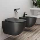 Deante Peonia deska WC wolnoopadająca Slim antracyt CDE DSOZ