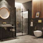 Deante przycisk spłukujący Slim do stelaży WC złoty CST Z51P