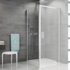 Sanswiss Top Line ścianka prysznicowa 70 cm boczna do drzwi srebrny połysk TOPF07005007