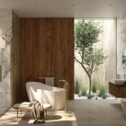 Deante Arnika Gold zestaw prysznicowy ścienny złoto szczotkowane NAC_R1QK