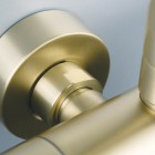 Deante Arnika Gold zestaw prysznicowy ścienny złoto szczotkowane NAC_R1QK