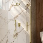 Deante Arnika zestaw prysznicowy podtynkowy złoto szczotkowane BXYZRQAM