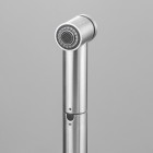 Franke Atlas Neo pull-out spray bateria kuchenna z wyciąganą wylewką stojąca stal szlachetna 115.0521.441