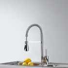 Franke Sentinel bateria kuchenna z wyciąganą wylewką stojąca chrom 115.0029.591