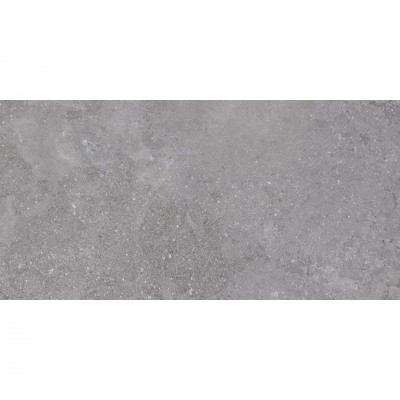 Blueslate Grey płytka podłogowa 60x120 cm 64727