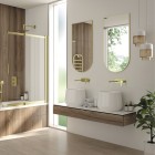 Deante Silia lustro 50x100 cm złoto szczotkowane ADI_R851