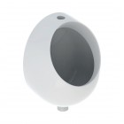 Geberit Selnova Pico pisuar dopływ z góry biały 502.790.00.1