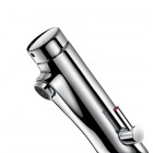 Delabie Temposoft mix bateria czasowa umywalkowa z regulatorem temperatury chrom 742000