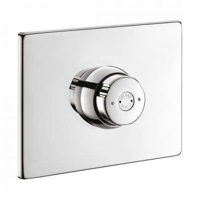 Delabie Tempostop bateria czasowa natryskowa podtynkowa do wody zmieszanej inox 749218