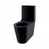 Delabie Monobloco S21 zestaw WC kompakt stal nierdzewna czarny mat 110390BK