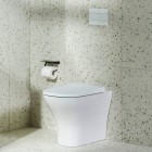 Roca PS2 przycisk spłukujący do WC biały połysk A890224300