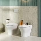 Roca PS1 przycisk spłukujący do WC biały połysk A890225300