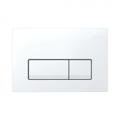 Geberit Delta50 przycisk spłukujący biały 115119111