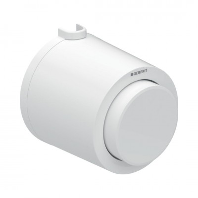 Geberit Typ 01 przycisk spłukujący do WC biały 116.046.11.1