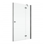 Ronal Annea drzwi prysznicowe 75 cm prawe gunmetal szczotkowany AN13D07502607