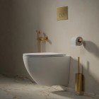 Omnires Flush Set Strongframe 3w1 stelaż podtynkowy do WC przycisk spłukujący złoty szczotkowany STFWC1R45-RGLB
