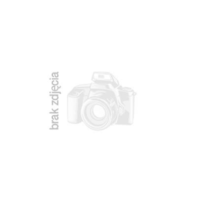 Roca korek do umywalki klik klak brushed graphite A5054010GM