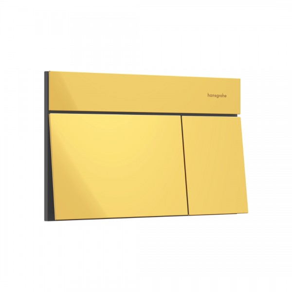 Hansgrohe Element E przycisk spłukujący do WC złoty optyczny polerowany 66003990