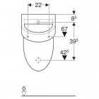 Geberit Flow pisuar 235900