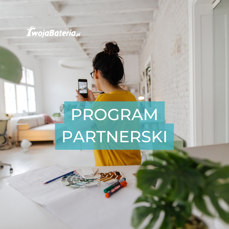 Program partnerski