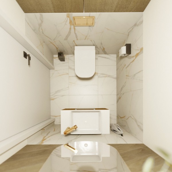 Projekt złotej toalety!